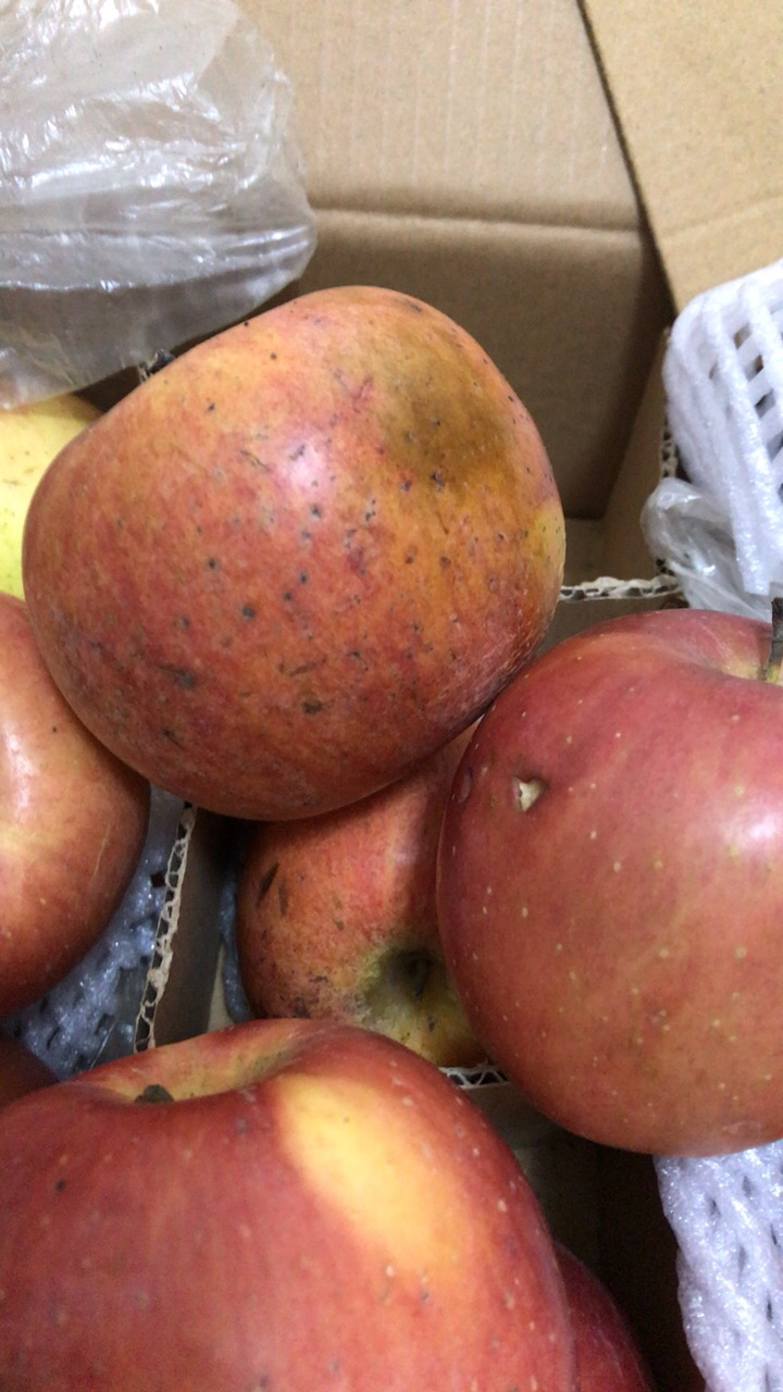 苹果水果自营红富士