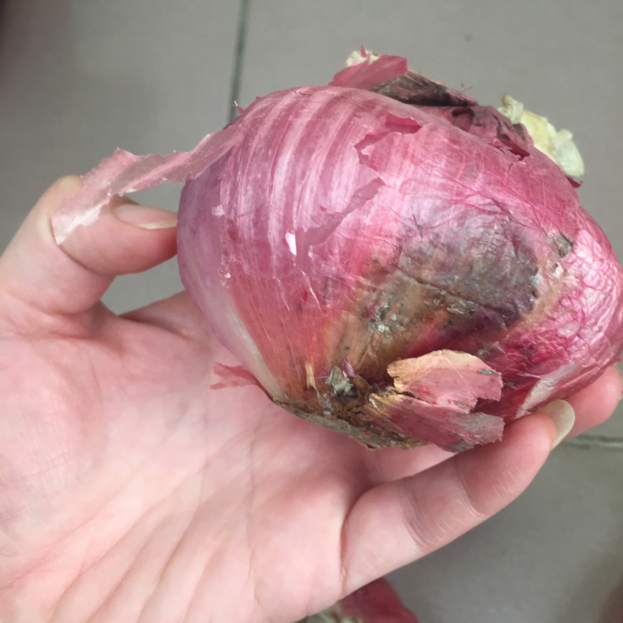 5斤装 紫皮洋葱红皮圆葱晒单图