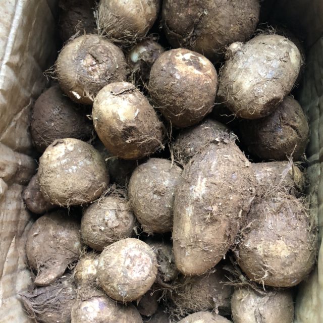 新鲜小芋头25斤装毛芋头农家蔬菜小香芋芋艿红薯
