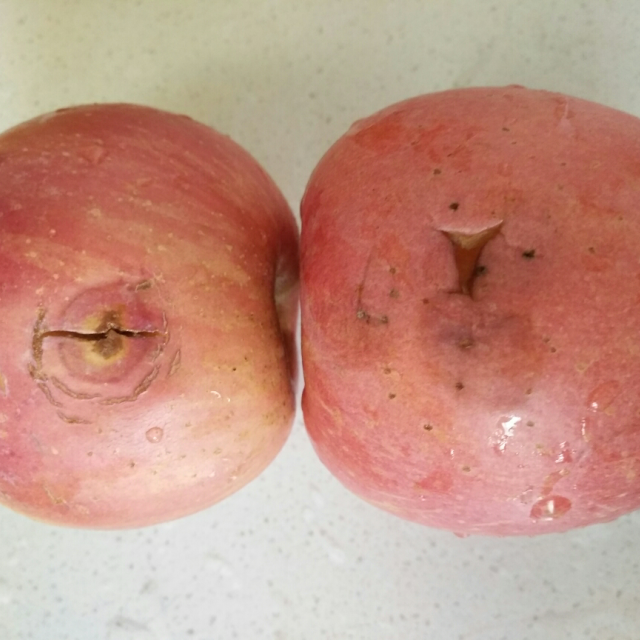 红富士苹果4粒装800g起