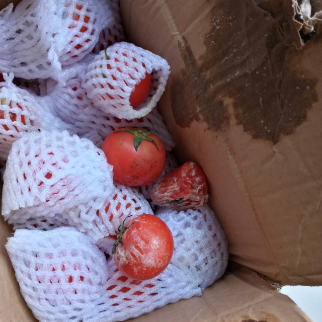 > [48h发货]云南高原西红柿5斤约14-20个 自然熟番茄新鲜现摘商品评价