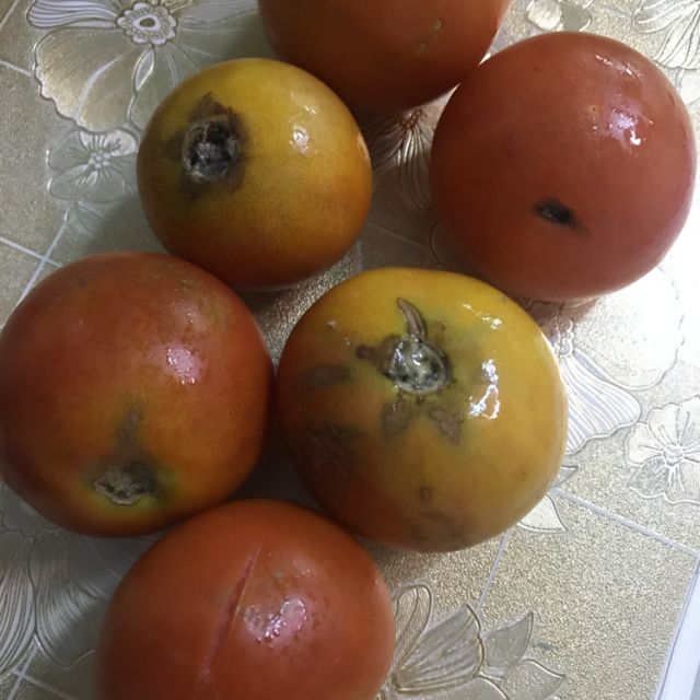 烂掉的西红柿图片图片