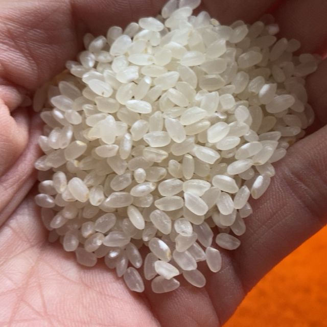 > 金龙鱼 软香稻 苏北大米 5kg 袋装粳米商品评价 > 您没有填写评价