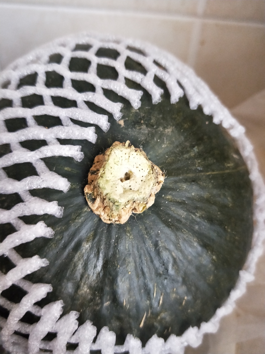 板栗贝贝小南瓜