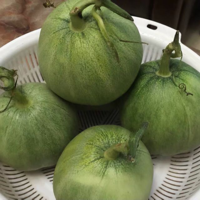 【5斤装】绿宝甜瓜新鲜水果5斤装中果净重4.