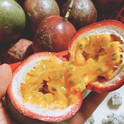 【48小时发货】精选百香果5斤(单果50-90克)中大果 广西百香果