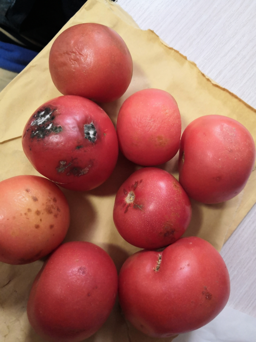 【靓果汇】四川攀枝花西红柿大番茄5斤装 沙瓤细腻 健康营养晒单图
