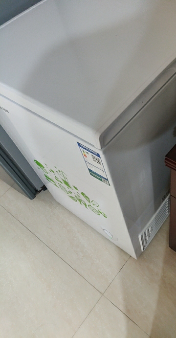 容声(ronshen)冷柜 100升 顶开门 家用小型冰柜 冷藏冷冻 迷你冷柜