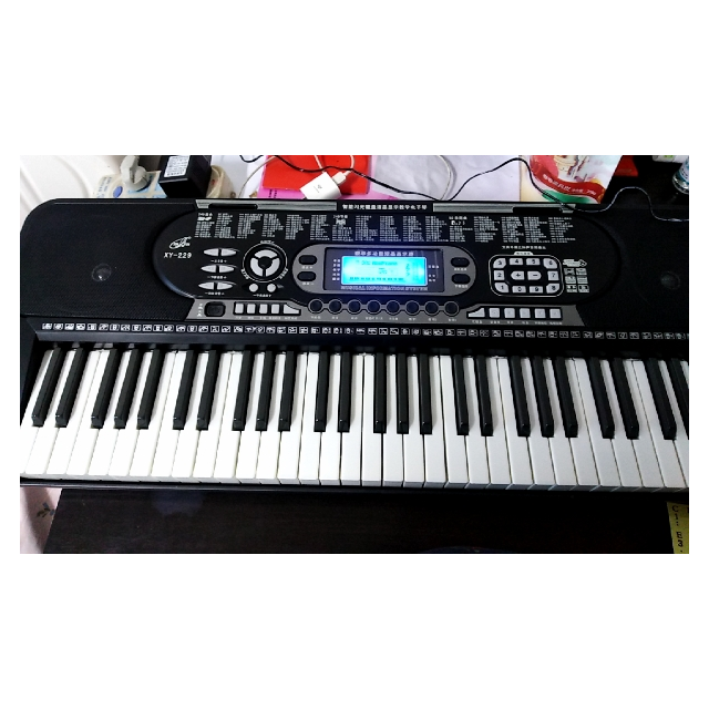 新韵xinyun229多功能电子琴初学者成年儿童入门成人幼师专用61钢琴键