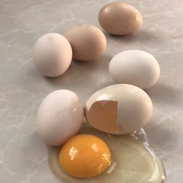 散养柴鸡蛋40枚装破损包赔新鲜土鸡蛋草鸡蛋笨鸡蛋非鹌鹑蛋鸭蛋鹅蛋