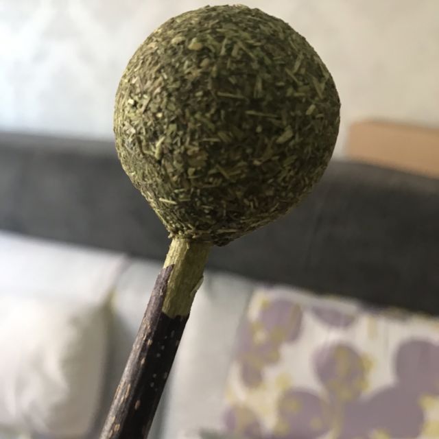 猫零食猫薄荷球棒棒糖猫咪用品猫糖逗猫玩具逗猫棒木天蓼磨牙棒