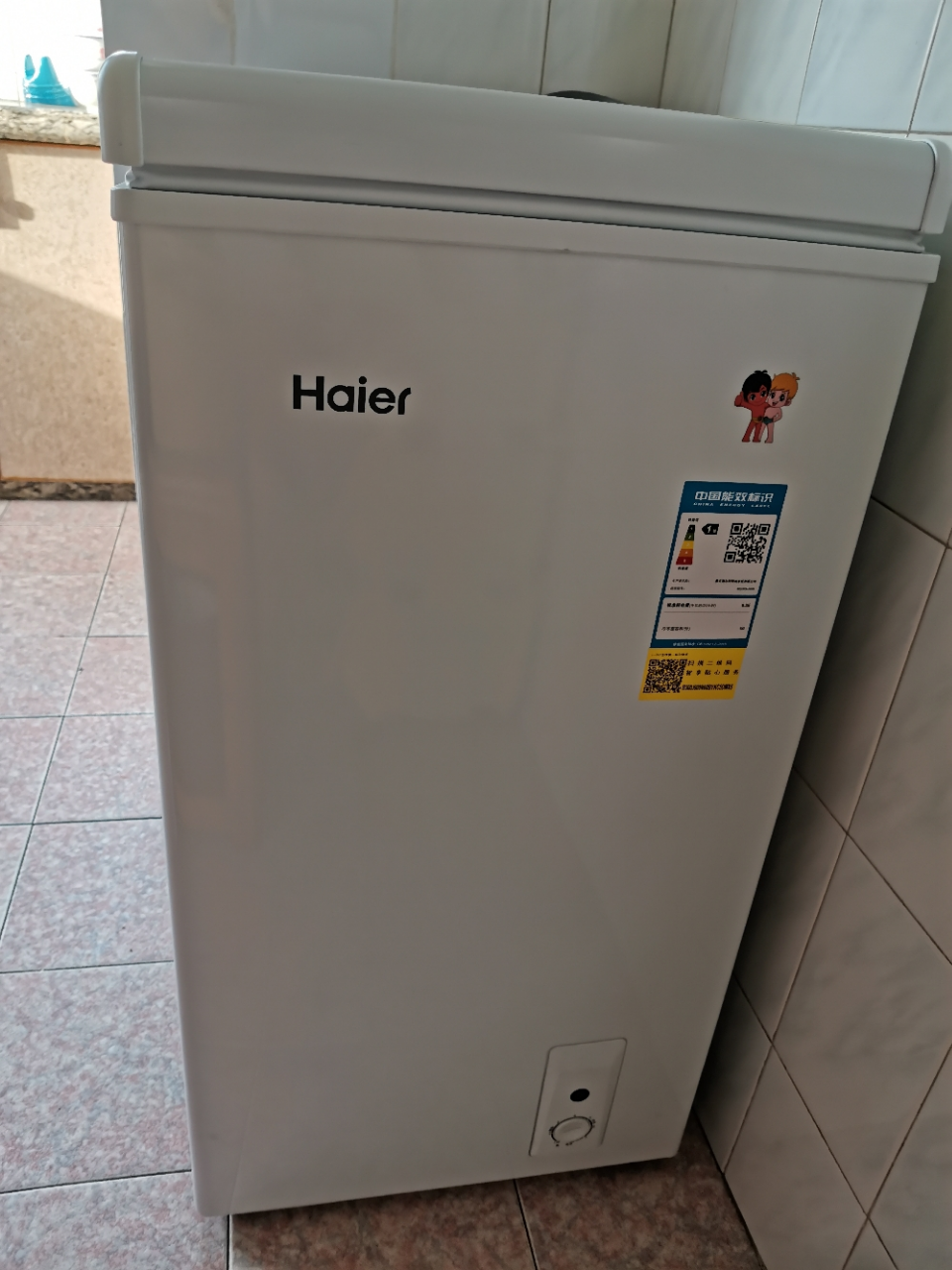 haier/海尔bc/bd-66n 66升家用立式冰柜直冷 每天0.