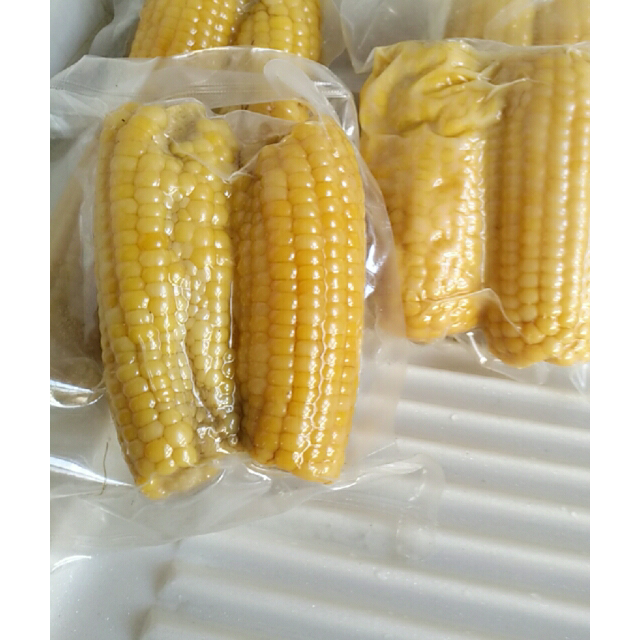 > 黄糯小玉米5根装 单根约200克左右 健康食材 营养代餐 坏果包赔商品