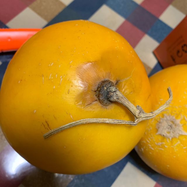 5斤 果肉鲜嫩 汁沛瓤甜瓜类买的两个瓜,坏了一个-苏宁易购