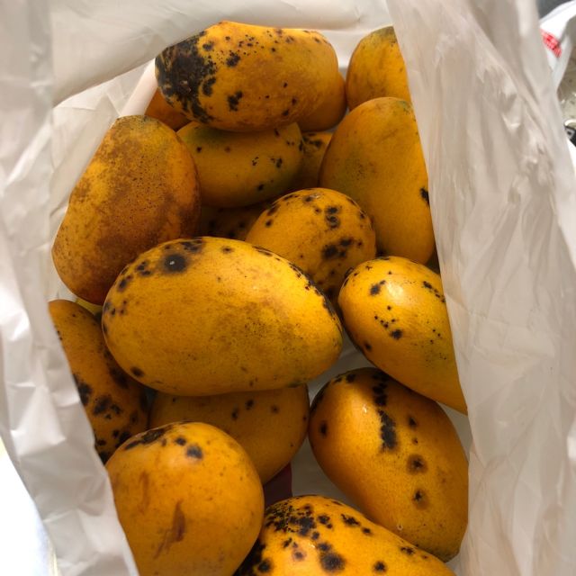 > 【48小时发货 坏果包赔】 海南芒果 新鲜热带水果 带箱5斤装商品