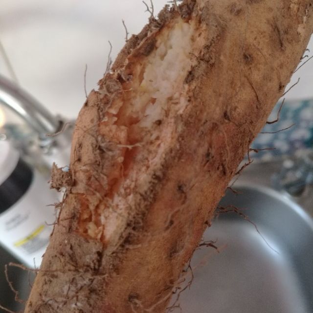 麻山药小白嘴铁棍山药25斤2单带箱5斤