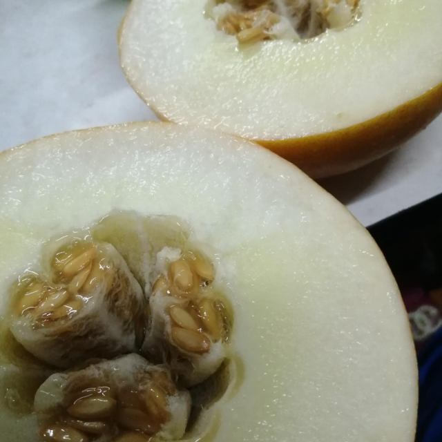 > 【嘉琪】黄河蜜瓜甜瓜哈蜜瓜新鲜当季水果黄金香瓜(4-5斤装)商品