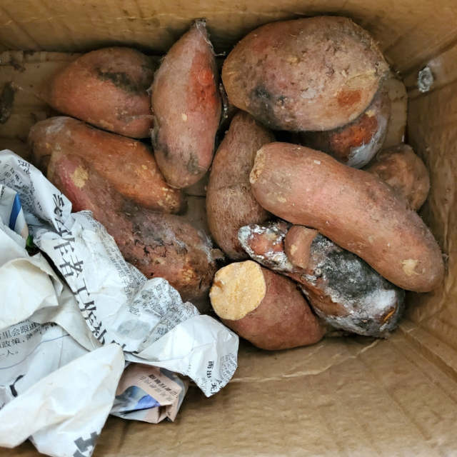 新鲜沙地红薯蜜薯5斤 小果 农家自种蜜薯地瓜黄心小香薯糖心番薯现