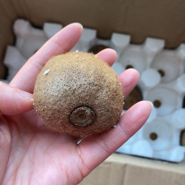 毛鸡蛋2件起售智利进口绿心奇异果6枚单果7080g新鲜水果绿心猕猴桃