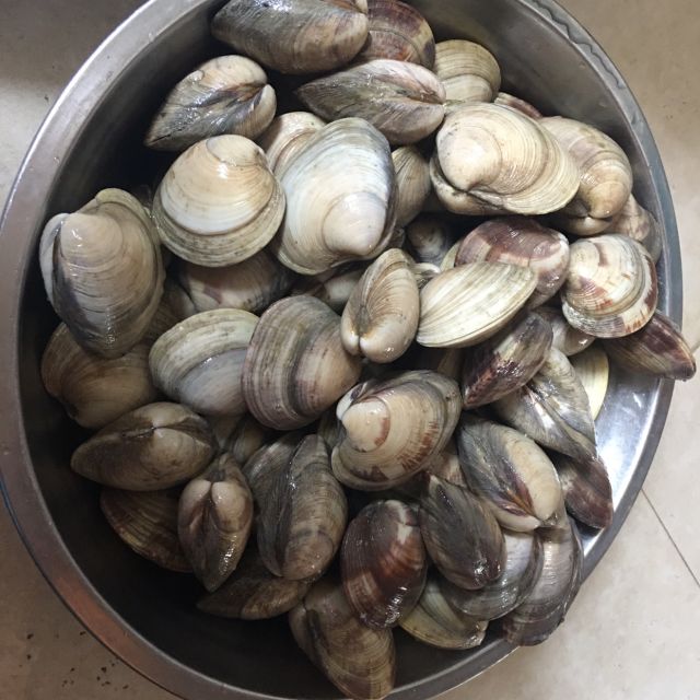 > 福建东山岛鲜活大蛤蜊5斤 顺丰直邮 新鲜肉花甲花蛤海鲜水产商品