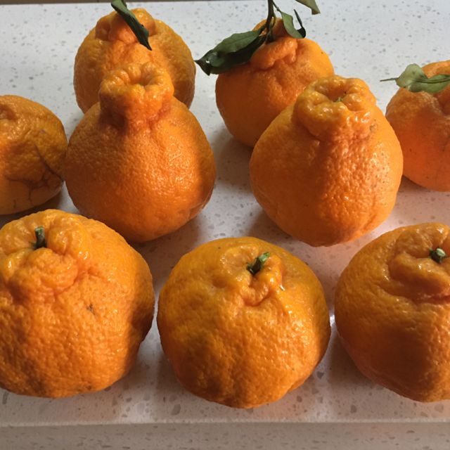 陈小四水果新鲜秭归夏橙9斤玲珑果小果单果约5060mm榨汁橙新鲜水果