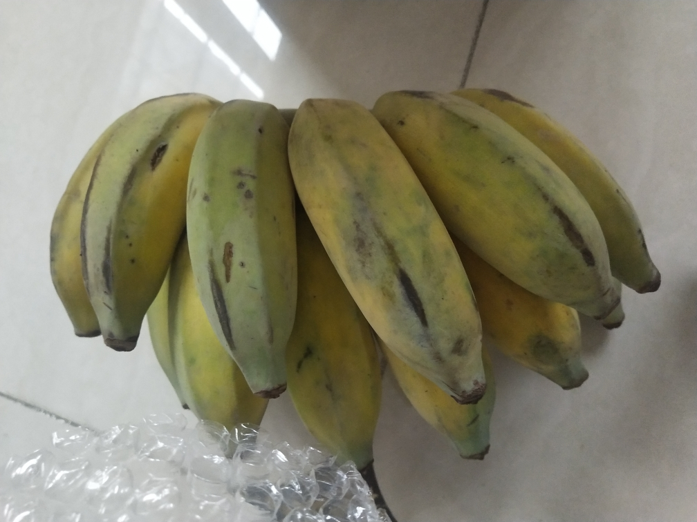 【中华特色】小米蕉香蕉1500g_3斤装 糯米蕉芭蕉农家自种县长代言天然