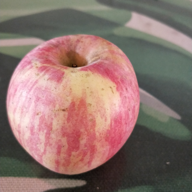 > 【渭圆盛】陕西白水新鲜脆甜红富士苹果带箱10斤 果径70-85mm商品