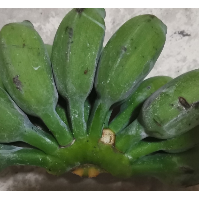 【3件起售】薯家上品 广西小米蕉3斤(3的倍数发货) 新鲜现摘香蕉非芭