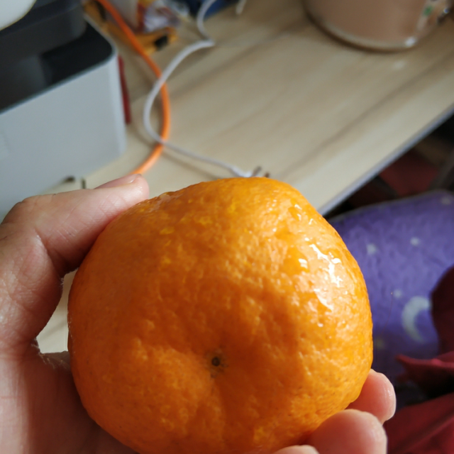 > 秭归青皮蜜橘2.