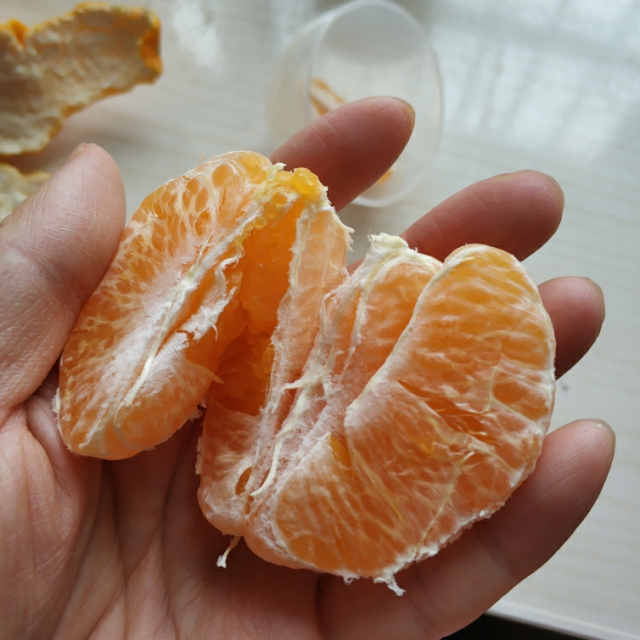 > 秭归青皮蜜橘2.