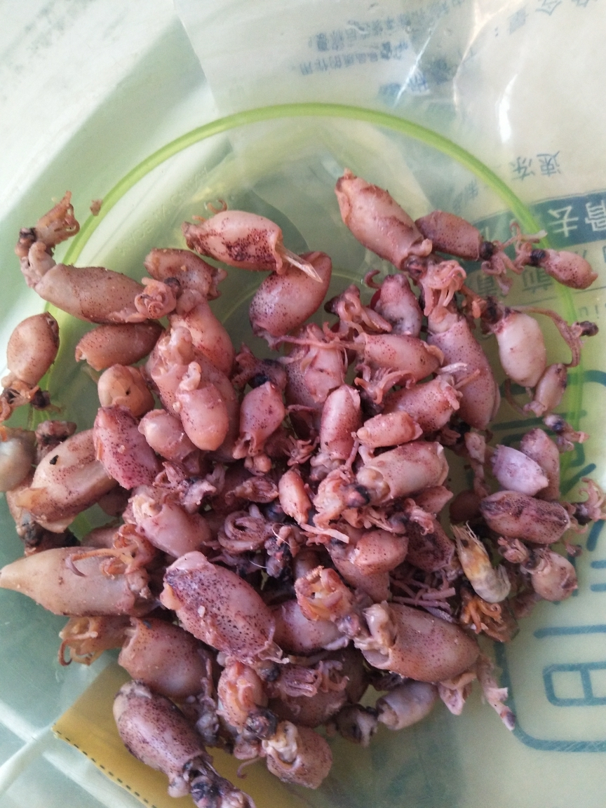 新鲜小海兔干500g小墨鱼仔海鲜干货500g笔管鱼籽乌贼墨鱼晒单图