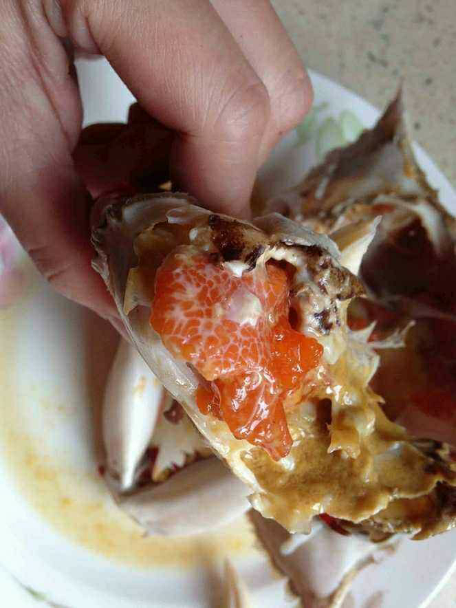 【买1送1】三座海 梭子蟹鲜活 500g 2-3只 海螃蟹公蟹红膏母蟹鲜活