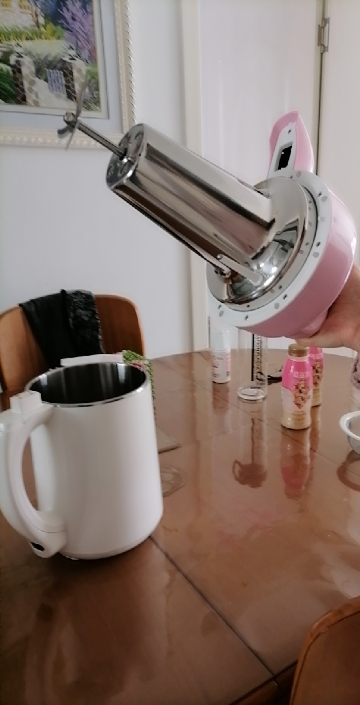 九阳(joyoung)dj12b-a01sg豆浆机果汁五谷 米糊 轻松做 无网 研磨 易