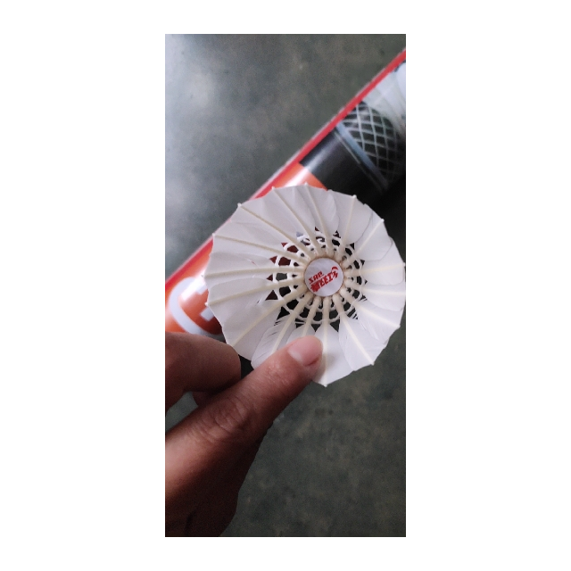 红双喜dhs羽毛球eeg12新款e系列天然羽毛12只