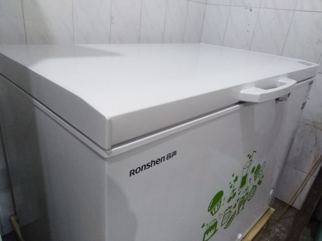 容声(ronshen) 309升商用冰柜冷柜卧式大冷冻柜 冷藏冷冻转换 节能变