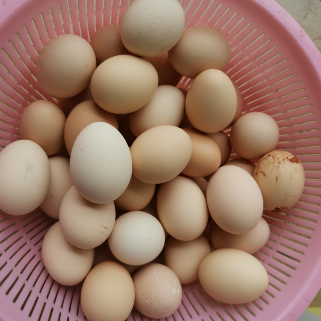 > 新鲜鸡蛋40枚单个45g左右农林笨鸡蛋菜鸡蛋蛋类商品评价 > 个头是不