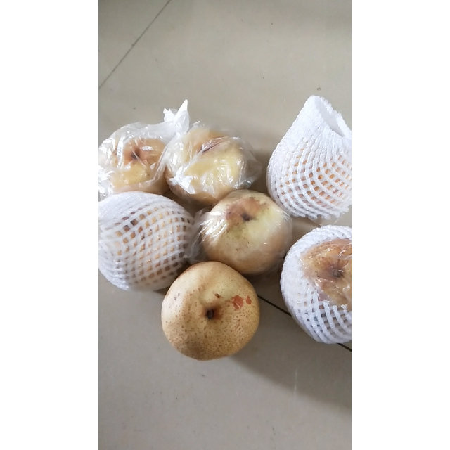 5斤 新鲜现摘梨子鸭梨新鲜水果 苏宁生鲜 坏果包赔