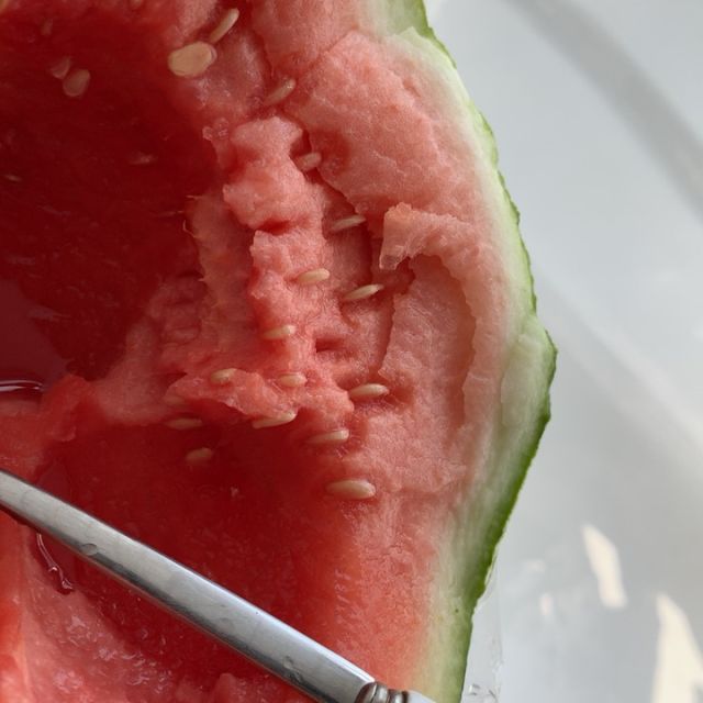 > 麒麟西瓜 约3500-4500g商品评价 > 生的啊!绵绵的,小朋.