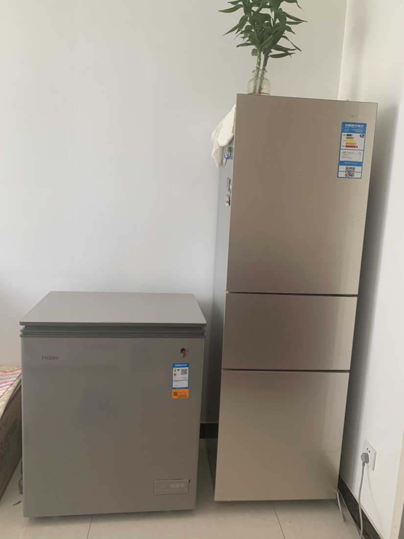 海尔(haier)bc/bd-142het 142l家用小冰柜 冷藏冷冻转换 风循环 零下