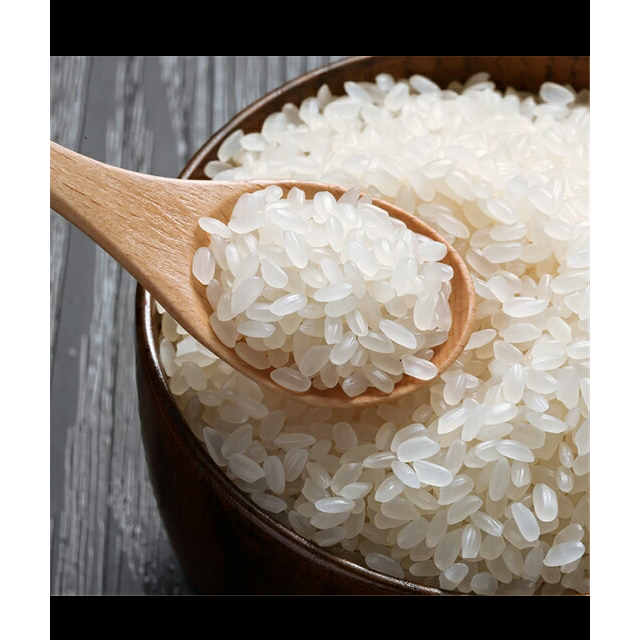 音河大米20斤珍珠米粳米圆粒10kg正宗东北大米音河源yinheyuan