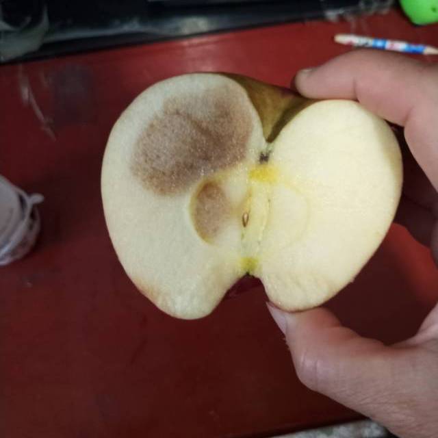 标签: 冷藏送货 心得:看上去苹果好看打开里面都是坏的怎么