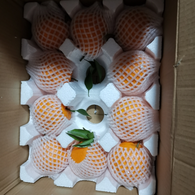 鲜菓篮四川柑橘青见果冻橙带箱10斤装大果果新鲜水果