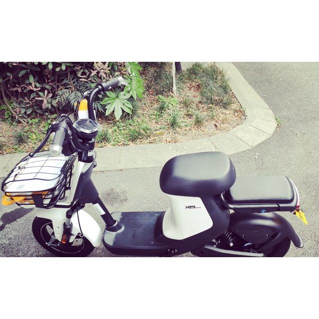 新日电动车 新国标xc1电动自行车 轻便时尚 博世电机 锂电池 成人电瓶