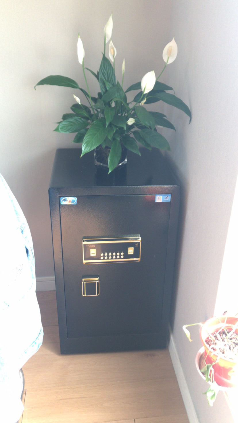 中国虎牌保险柜家用小型办公室单门45cm 60cm 70cm 80cm高隐形型指纹