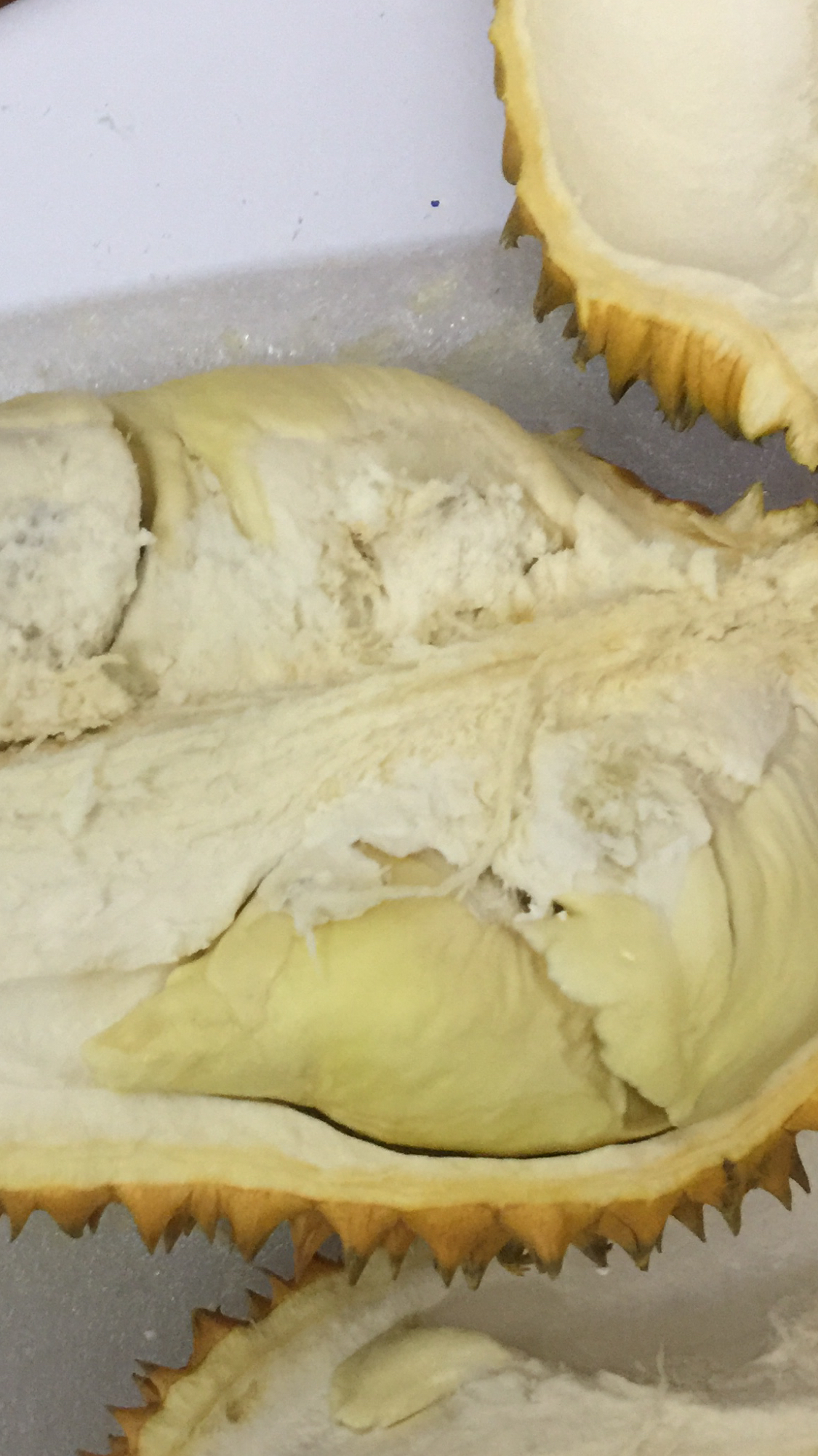 榴莲 泰国榴莲 金枕头榴莲 新鲜水果 进口水果4-5 顺丰快递 坏果包赔