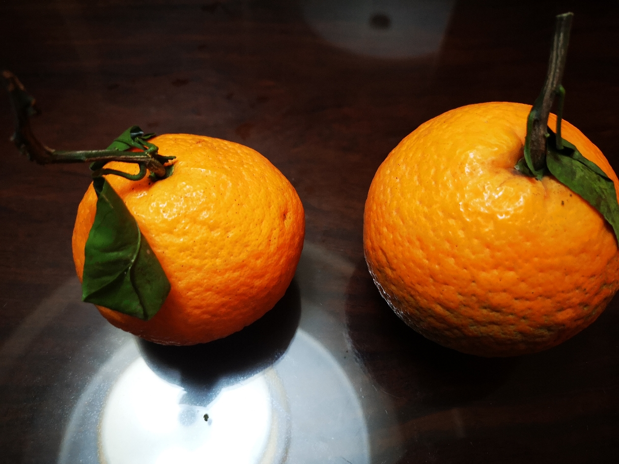 【2件免邮】四川青见柑橘 净重4.