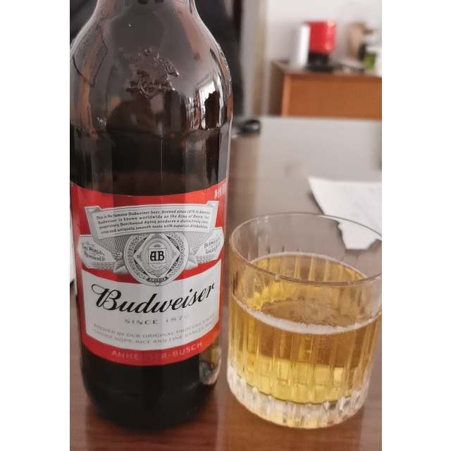 临期品5月29号到期百威啤酒美式拉格600ml12瓶整箱装