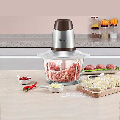 galanz/格兰仕 wj2001家用电动不锈钢小型多功能搅菜绞肉机打馅晒单图