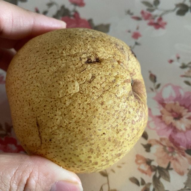 > 新鲜皇冠梨2.