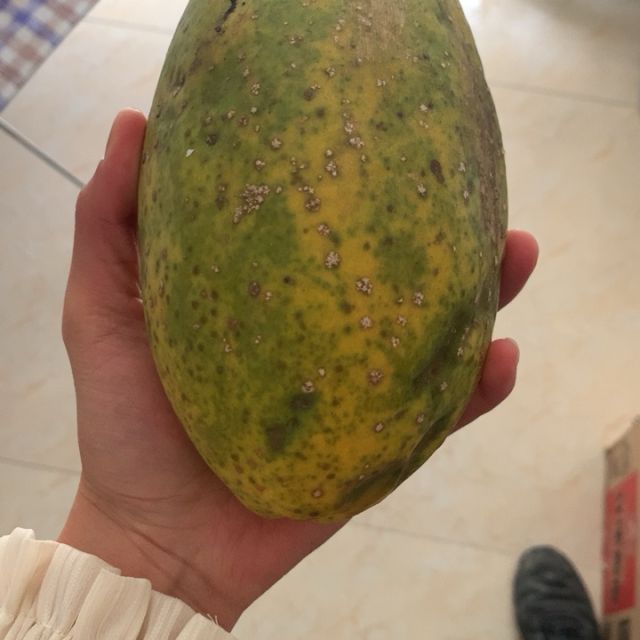 > 果农富【2件起售】广西红心木瓜 4斤 约2-4个 热带新鲜水果冰糖牛奶